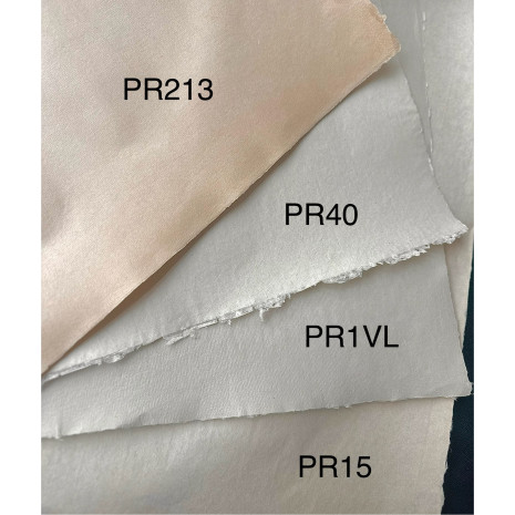 papier du moulin pr213